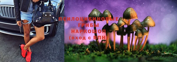 крисы Балахна