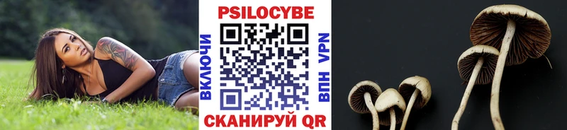 Галлюциногенные грибы Psilocybine cubensis Грязи
